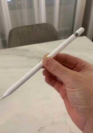 stilus-apple-pencil-1-big-1