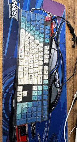 prodam-varmilo-rose-100-sinie-svici-s-shhelckom-v-idealnom-sostoianii-bez-kosiakov-big-1