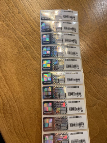 windows-10-pro-11-pro-oem-big-0