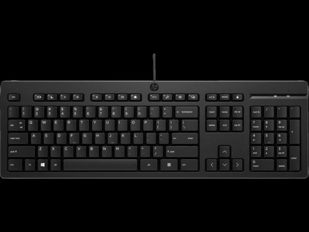 almaty-prodam-klaviaturu-hp-125-wired-hp-266c9a6-kolicestvo-100st-orginal-novye-i-v-korobke-big-3