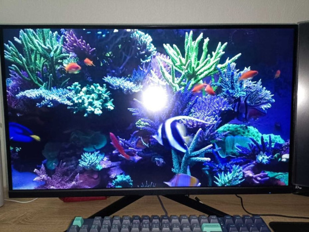 prodam-monitory-big-1