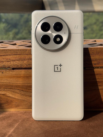 meniaiu-oneplus-13-v-pamiati-12256gb-v-cvete-arctic-dawn-v-idealnom-sostoianii-v-komplekte-zariadka-big-0