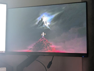 monitor-thunderobot-df24h100