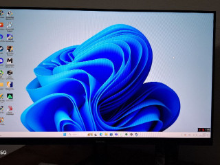 monitor