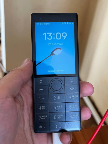 prodam-telefon-duoqin-f22-216-v-xorosem-sostoianii-est-korobka-big-3