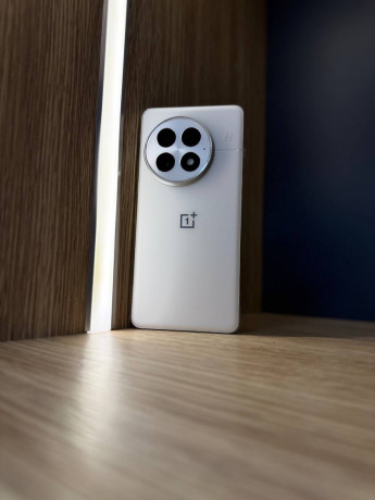 oneplus-13-v-pamiati-12256gb-v-cvete-arctic-dawn-v-ispolzovanii-byl-paru-mesiacev-komplekt-polnyi-big-0
