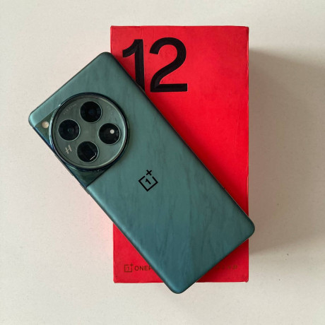 oneplus-12-2024-12256-sborka-indiia-sostoianie-ideal-korobka-blok-zariadki-100vt-perexodnik-big-0