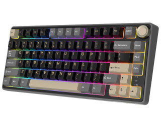 trex-rezimnaia-klaviatura-royal-kludge-r75-pro-na-seryx-svitcax