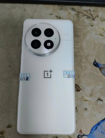 oneplus-13-cn-12256-ideal-bez-carapin-emkost-akb-100-tolko-sam-telefon-cena-300000-torg-obmen-t-big-0