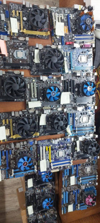 prodam-skopom-i-po-stucno-cena-8tys-tak-ze-est-ozu-dop-plata-big-0