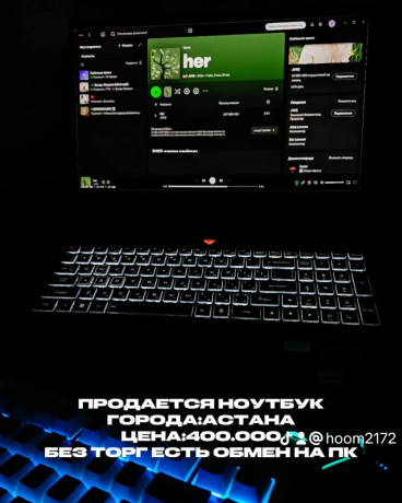 igrovoi-noutbuk-thunderobot-911-x-wild-hunter-g2-pro-big-0