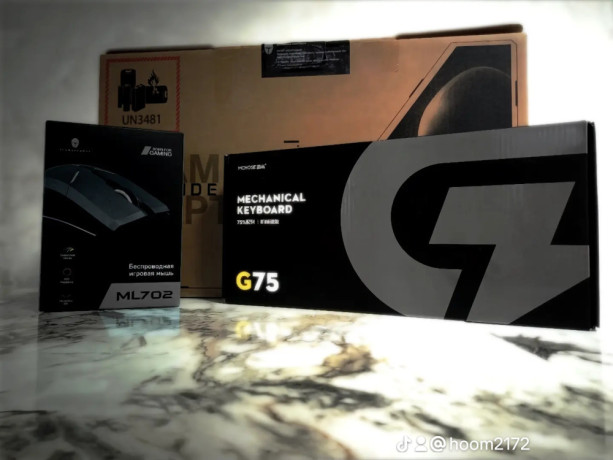 igrovoi-noutbuk-thunderobot-911-x-wild-hunter-g2-pro-big-1