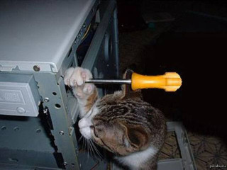 kupliu-videokarta-rtx-2060-ozu-ddr4-16-32-gb