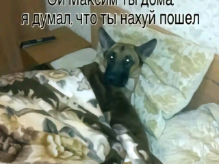 prostite-ne-vyderzal-uletaiu-v-ban-za-vas