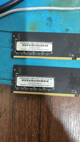 prodaetsia-para-25k-symkent-big-0