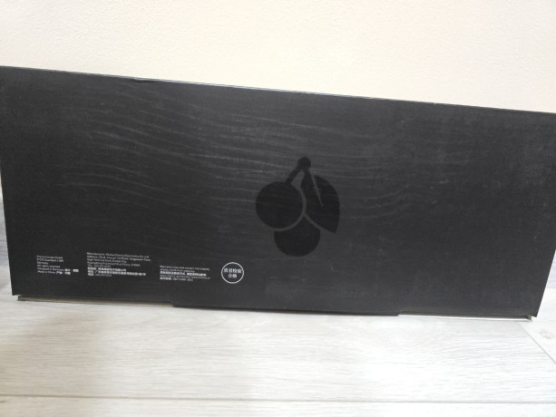 klaviatura-cherry-mx-30-20k-big-1