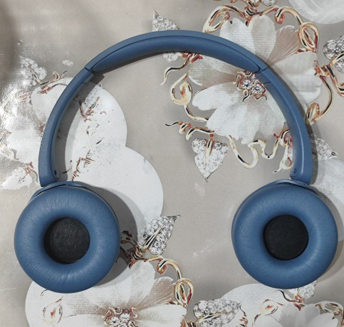 prodam-nausniki-sony-wh-ch520-cena-15k-mozno-dogovoritsia-big-0