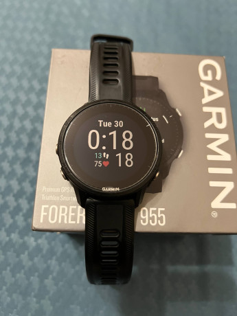 garmin-forerunner-955-big-1