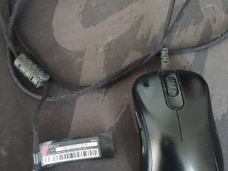 prodam-mysku-zowie-ec3c