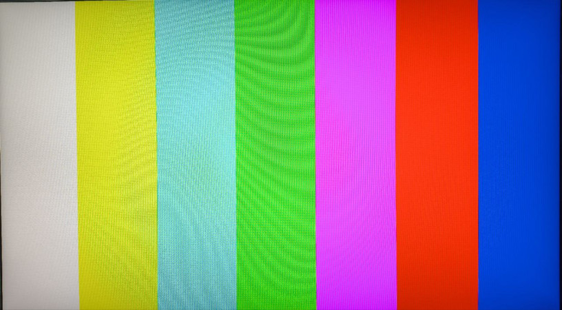 pk-byl-u-menia-4-goda-odin-vladelec-big-4