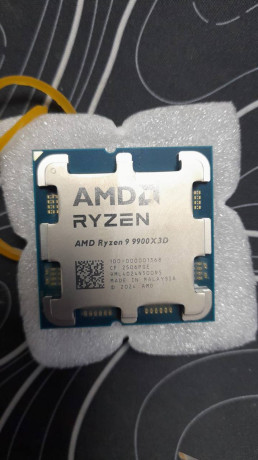 ryzen-9-9900x3d-big-0