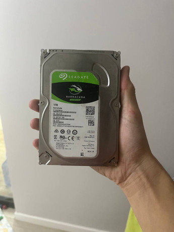hdd-1tb-bu-big-0