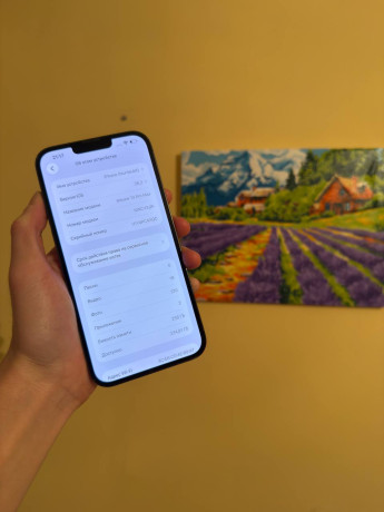 prodam-13-pro-max-bez-remonta-v-komplekte-tolko-cexol-256gb-83akb-gorodastana-big-0