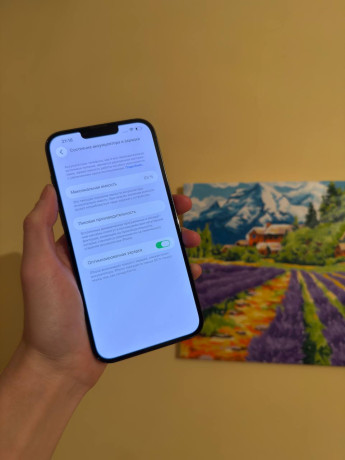 prodam-13-pro-max-bez-remonta-v-komplekte-tolko-cexol-256gb-83akb-gorodastana-big-1