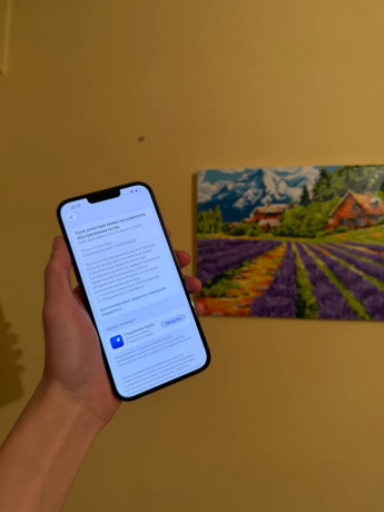 prodam-13-pro-max-bez-remonta-v-komplekte-tolko-cexol-256gb-83akb-gorodastana-big-4