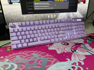 prodam-klaviaturu-mexaniceskuiu-rapoo-v500-pro-polnostiu-rabocaia-edinstvennoe-nemnogo-otlomilsia-plas