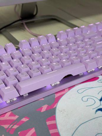 prodam-klaviaturu-mexaniceskuiu-rapoo-v500-pro-polnostiu-rabocaia-edinstvennoe-nemnogo-otlomilsia-plas-big-1