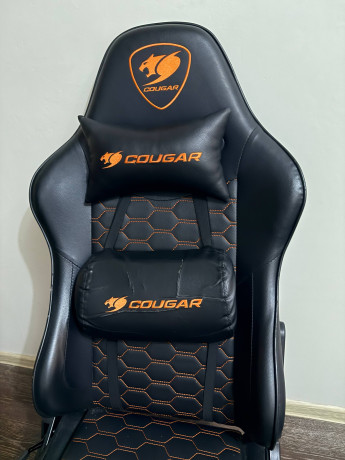 40k-segodnia-otdam-big-2