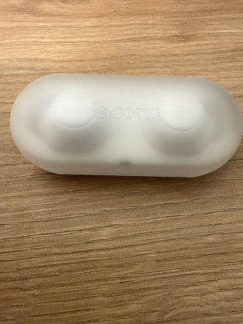 nausniki-sony-wf-c500-s-sumodavom-big-2