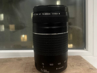 obmeniaiu-obieektiv-canon-75-300mm-na-videokartu-galmaty