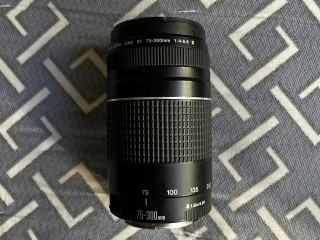 obieektiv-canon-75-300mm-obmeniaiu-na-videokartu-gorod-almaty