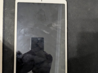 xiaomi-mi-pad-4-plus-464-polnostiu-rabocii-razblokirovan-zagruzcik-stoit-pixelbuilds-14-podxod