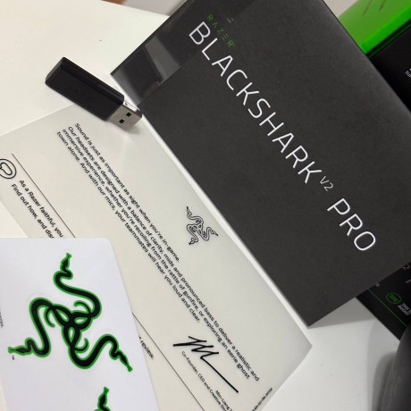 igrovaia-garnitura-razer-blackshark-v2-pro-wireless-big-1