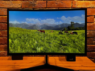 monitor-samsung-c24f396fhi