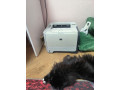 meniaiu-printer-na-4-banki-piva-ne-printer-samovyvoz-mrkn-kulager-almaty-zanimaet-mnogo-mesta-bum-small-0