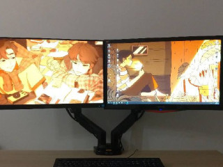 nb-f160-kronstein-dlia-dvux-monitorov